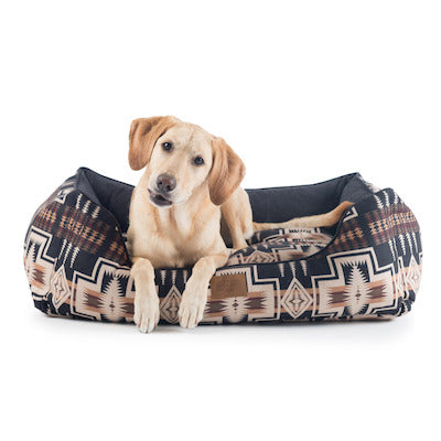 Must Have Pet Products for Dogs - The Vintage Modern Wife