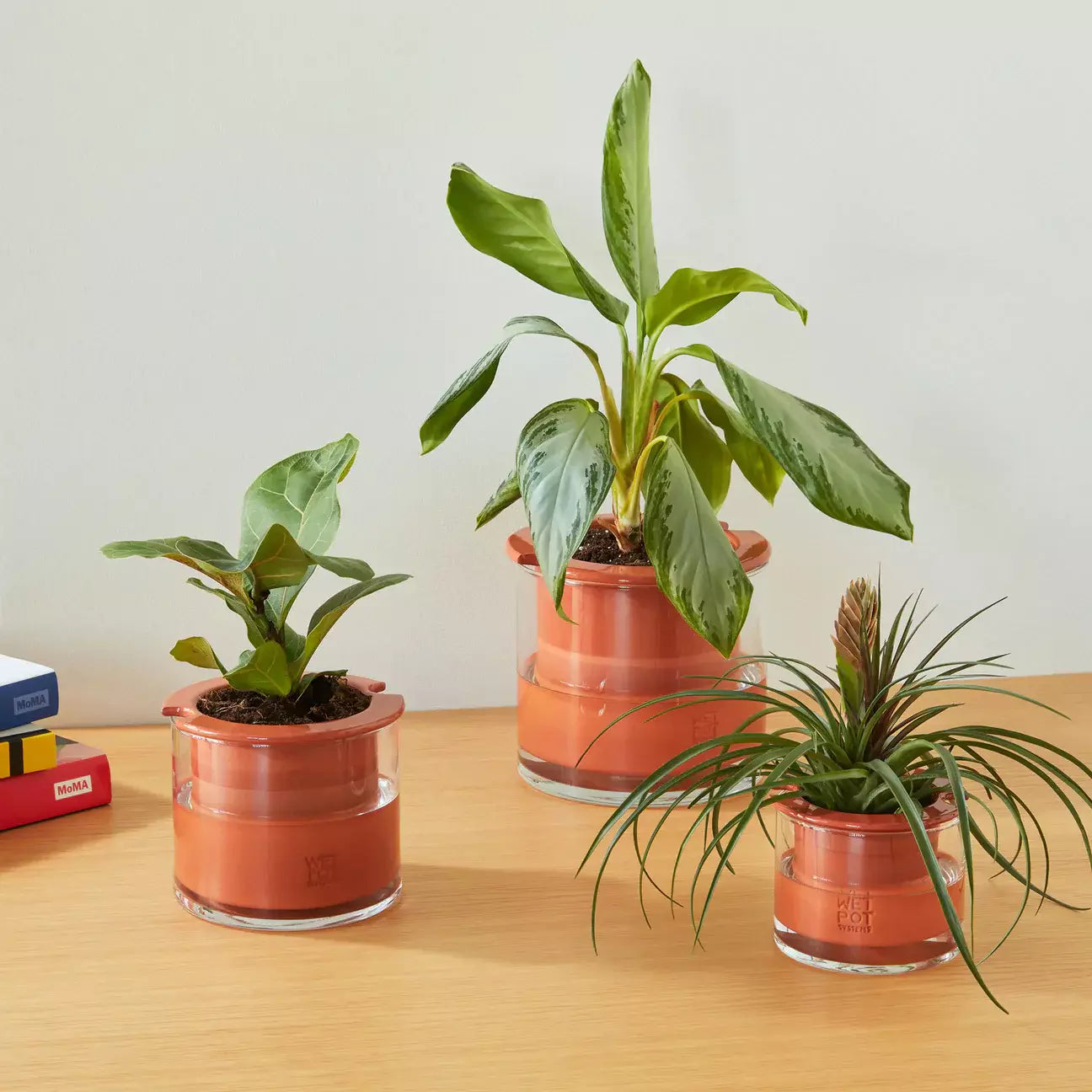 Self-Watering Pot: Small - SFMOMA Museum Store