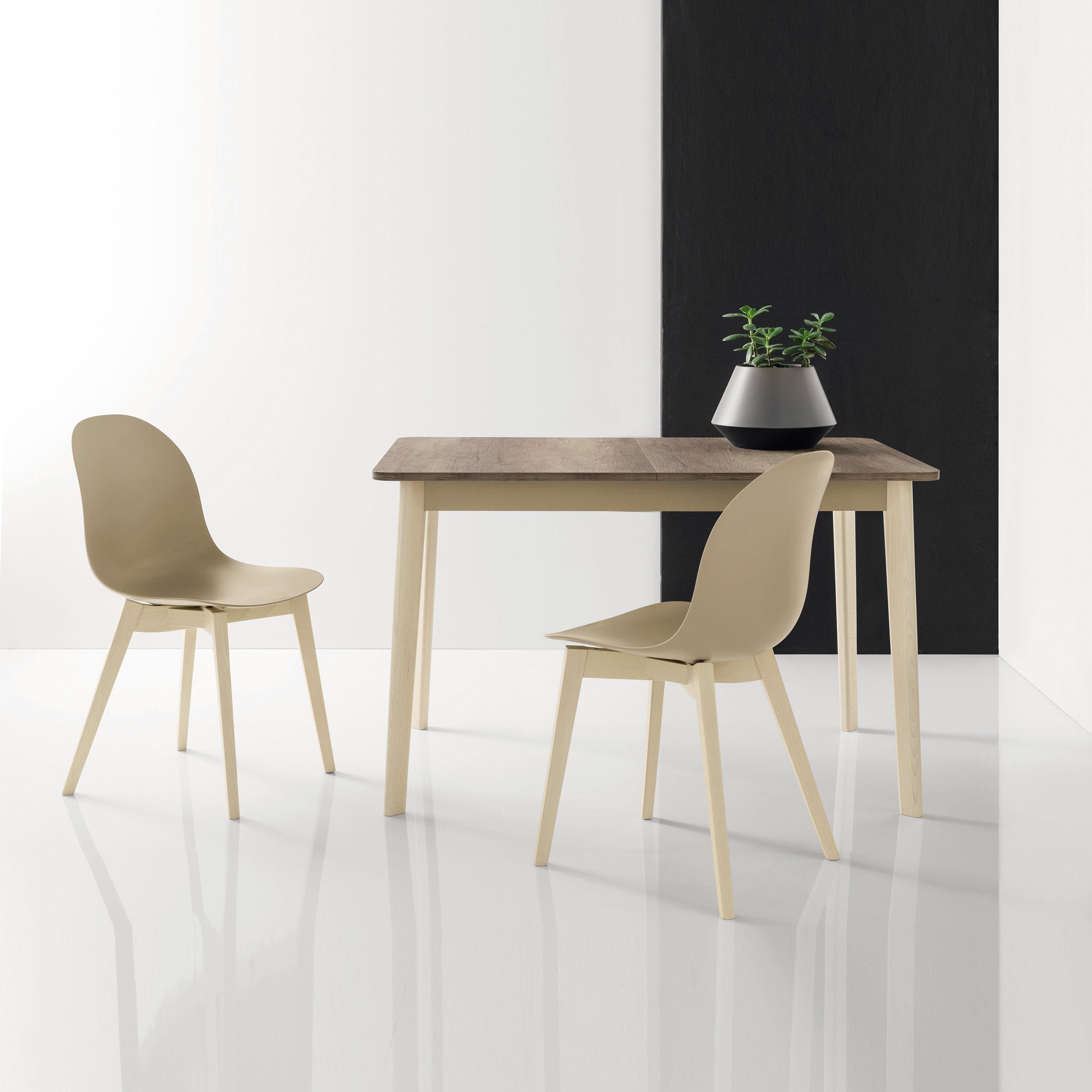 - Connubia Academy 2Modern Chair - Leg 4 Base Wood Solid