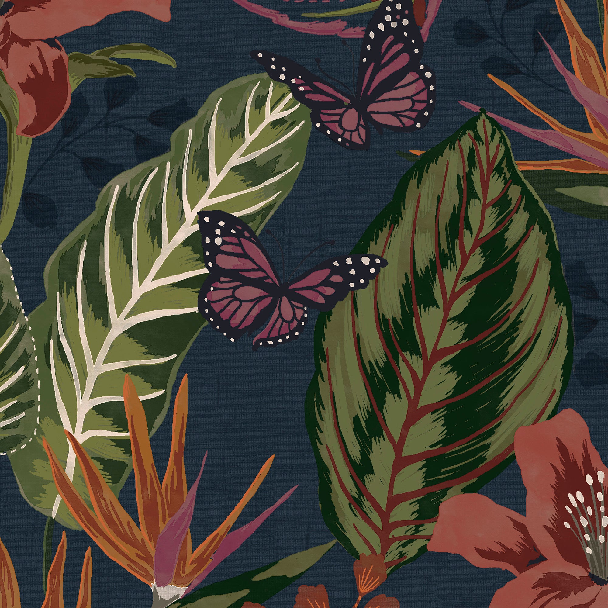 Graham ＆ Brown Glasshouse Birds Tropical Removable Paste The Wall Wallpaper  (Midnight) 内装
