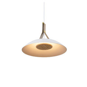 Volo LED Pendant Light