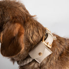 Ferdinando Dog Collar