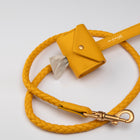 Ferdinando Dog Leash