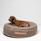 Fulvio Recycled Wool Dog Cushion