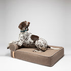 Giampaolo Recycled Wool Daybed