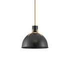 Argo Pendant Light