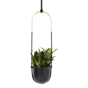 Bolo Planter