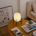 Cestita Metalica Table Lamp