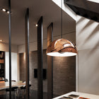 Dome Pendant Light