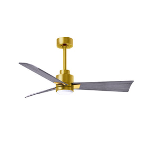 Alessandra Outdoor Ceiling Fan with Light