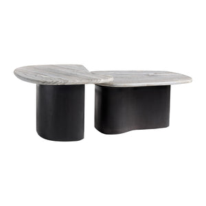 Melt Coffee Table (Set of 2)