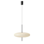 Model 2065 LED Pendant Light