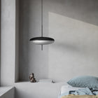 Model 2065 LED Pendant Light