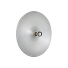 Model 262 LED Wall/Ceiling Light