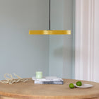 Asteria Pendant Light