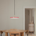 Asteria Pendant Light