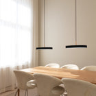 Asteria Pendant Light