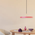 Asteria Pendant Light