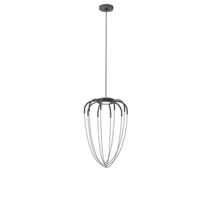 Alysoid Pendant Light