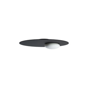 Kwic Wall/Ceiling Light