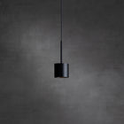 Pivot Pendant Light