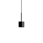 Pivot Pendant Light