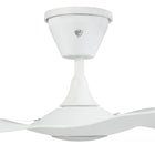 Haiku Coastal Outdoor Ceiling Fan