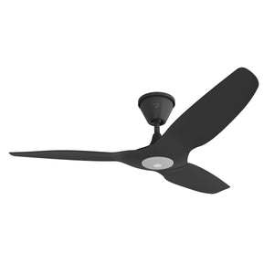 Haiku Coastal Outdoor Ceiling Fan