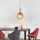 Phenomena LED Pendant Light