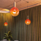 Phenomena LED Pendant Light