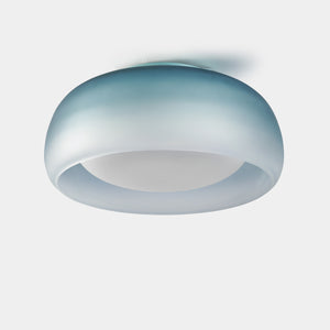 Medusa LED Wall/Ceiling Light