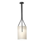 Arborescence Pendant Light