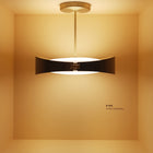 Ring Pendant Light