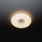 Iris LED Wall/Ceiling Light