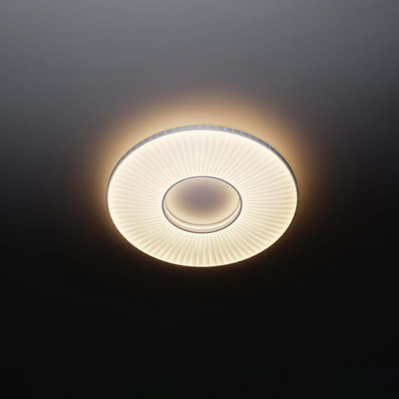 Iris LED Wall/Ceiling Light