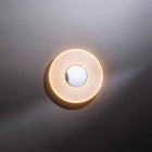 Iris Mirror LED Wall/Ceiling Light