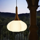 Swell Pendant Light