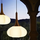 Swell Pendant Light