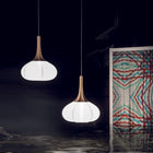 Swell Pendant Light