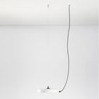 Mood LED Pendant Light