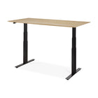 Bok Adjustable Desk