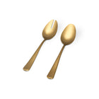 2 Piece Serving Spoon Set