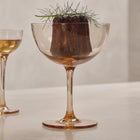 Host Cocktail Glass (Set of 2)