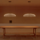 Skynest Suspension Light