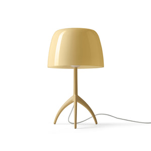 Lumiere Nuances Table Lamp