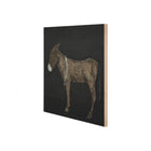 Burro By Paul Meyer Wall Art