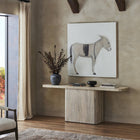 Burro By Paul Meyer Wall Art