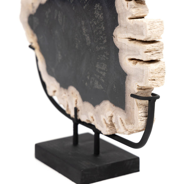 Petrified Wood Sculpture