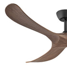 Swell Ceiling Fan