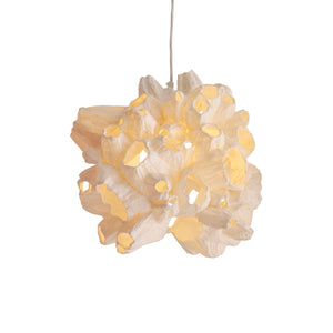 Barnacle Pendant Light